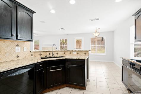 16014 Dominic Place San Antonio TX 78247