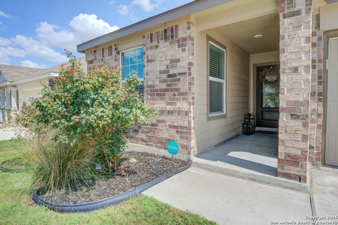 13126 Rosemary Cove San Antonio TX 78152