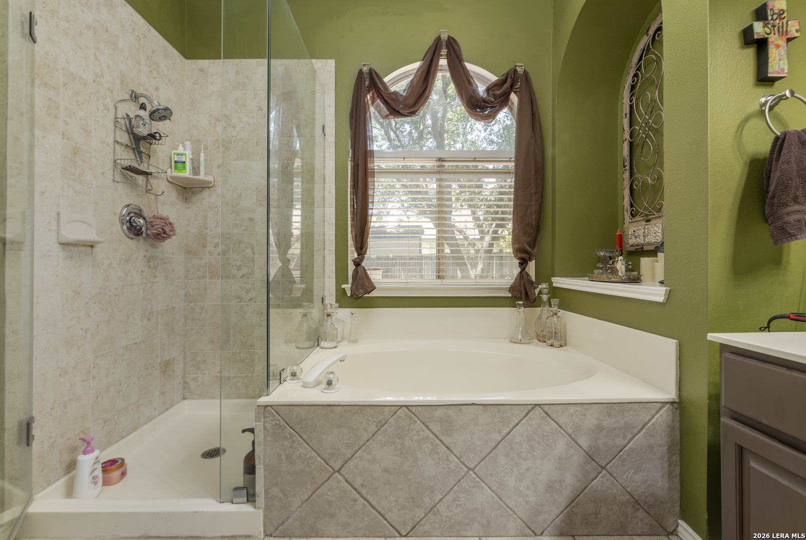 16911 Redland Downs San Antonio TX 78247