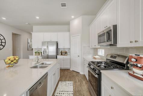 22511 Carriage Bluff San Antonio TX 78261