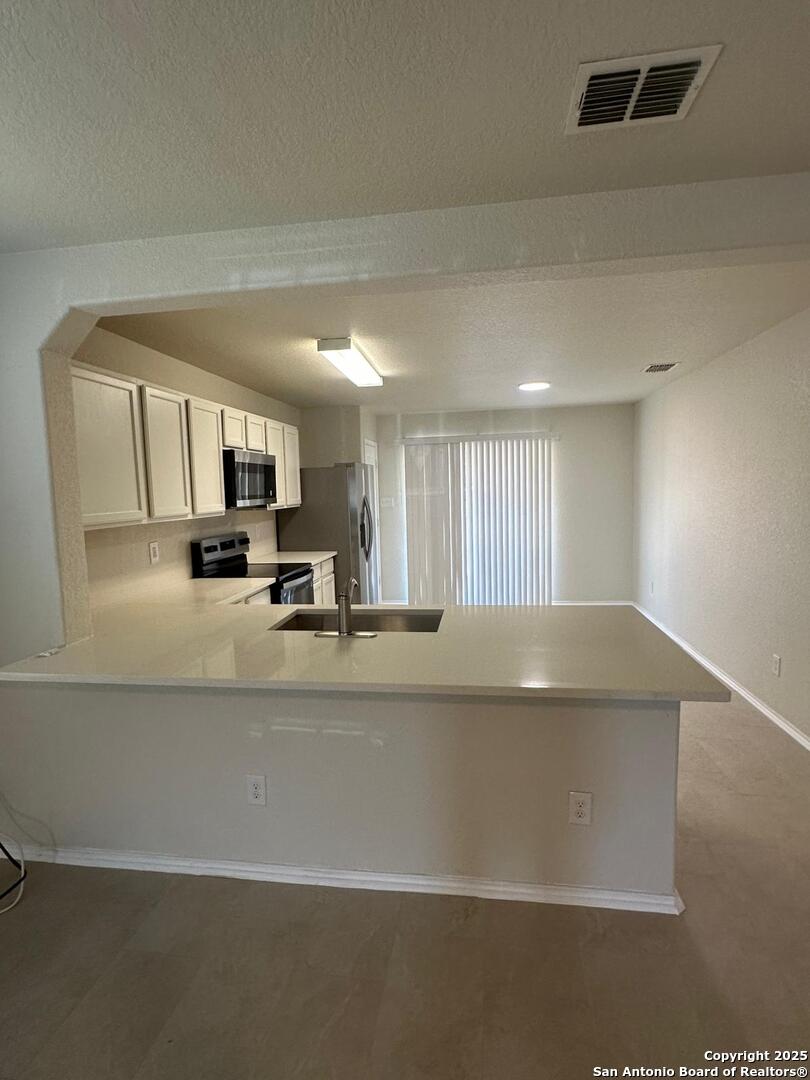 25346 Colt San Antonio TX 78261