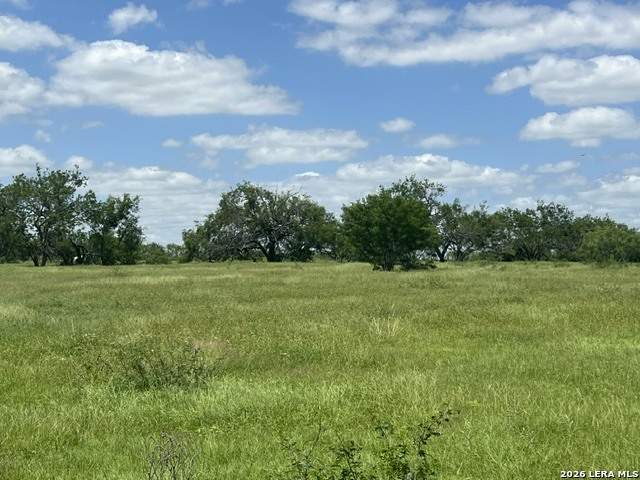 4612 County Road 117 Floresville TX 78114