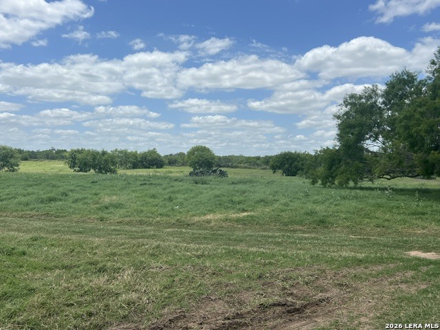 4612 County Road 117 Floresville TX 78114