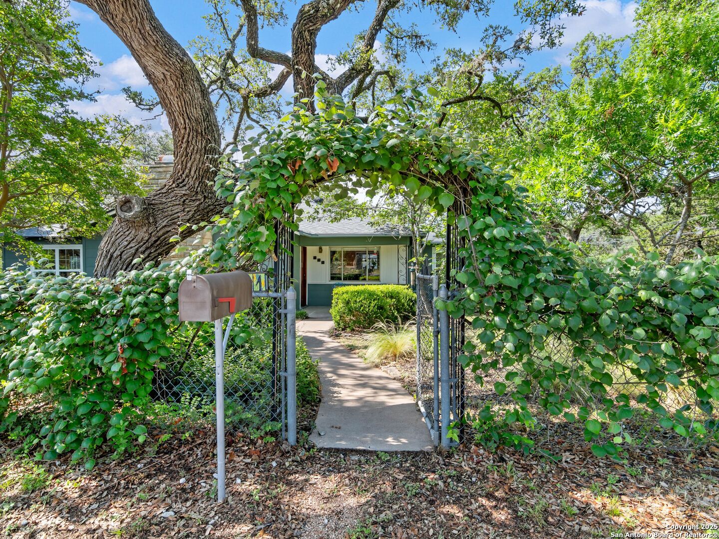 131 Bess Street Boerne TX 78006