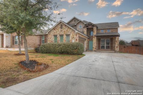 1906 Blue Goose New Braunfels TX 78130