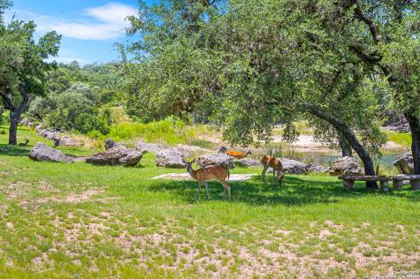 690 Kings Point Canyon Lake TX 78133
