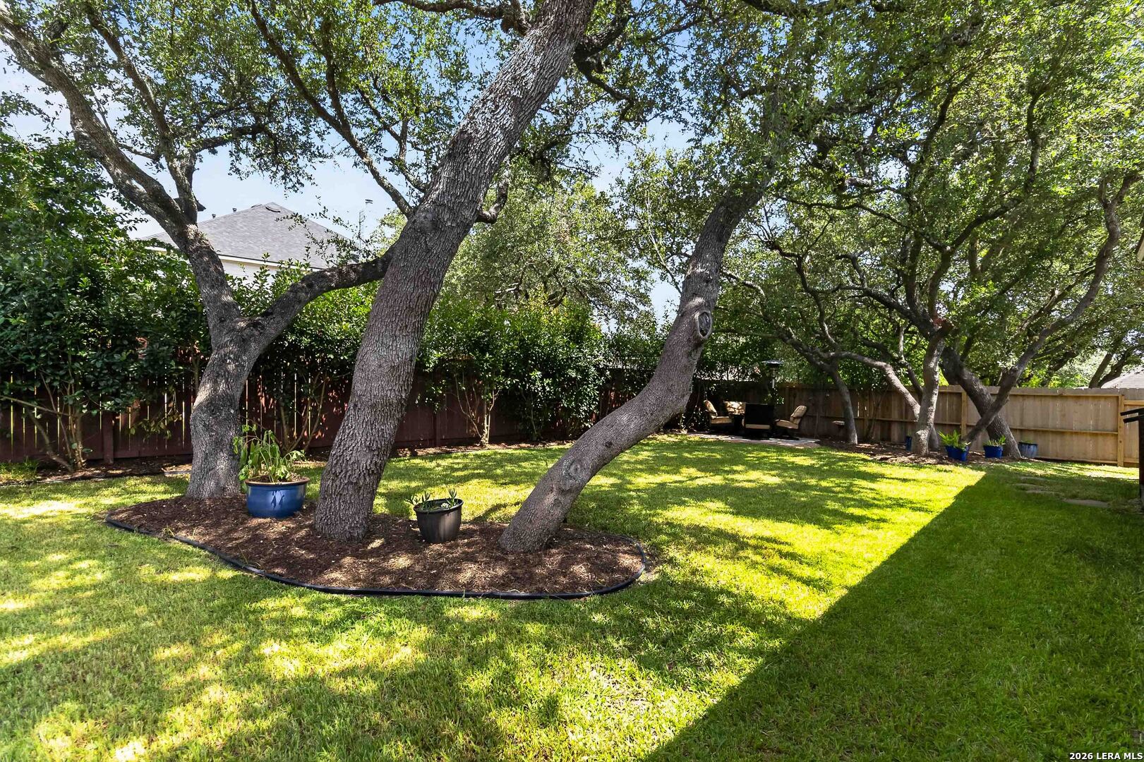 26446 Walden Oak San Antonio TX 78260