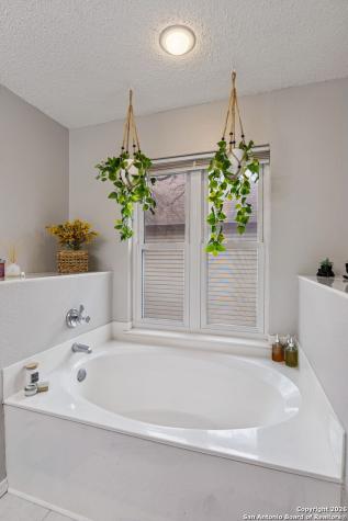 4826 Limestone Well Drive San Antonio TX 78247