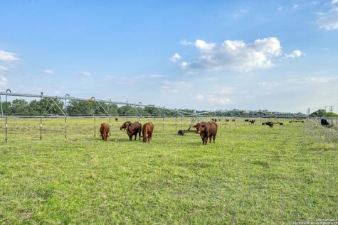 2605 Schuettig Road Poteet TX 78065