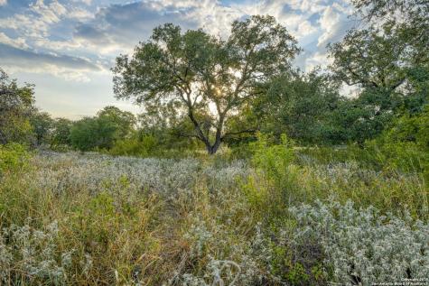 2605 Schuettig Road Poteet TX 78065