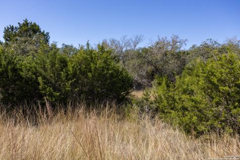 Block 3, Lot 1 Easy Money Boerne TX 78006