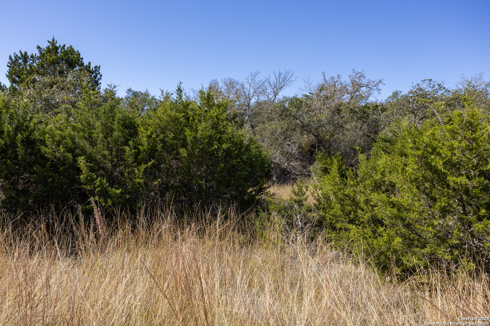 Block 3, Lot 1 Easy Money Boerne TX 78006