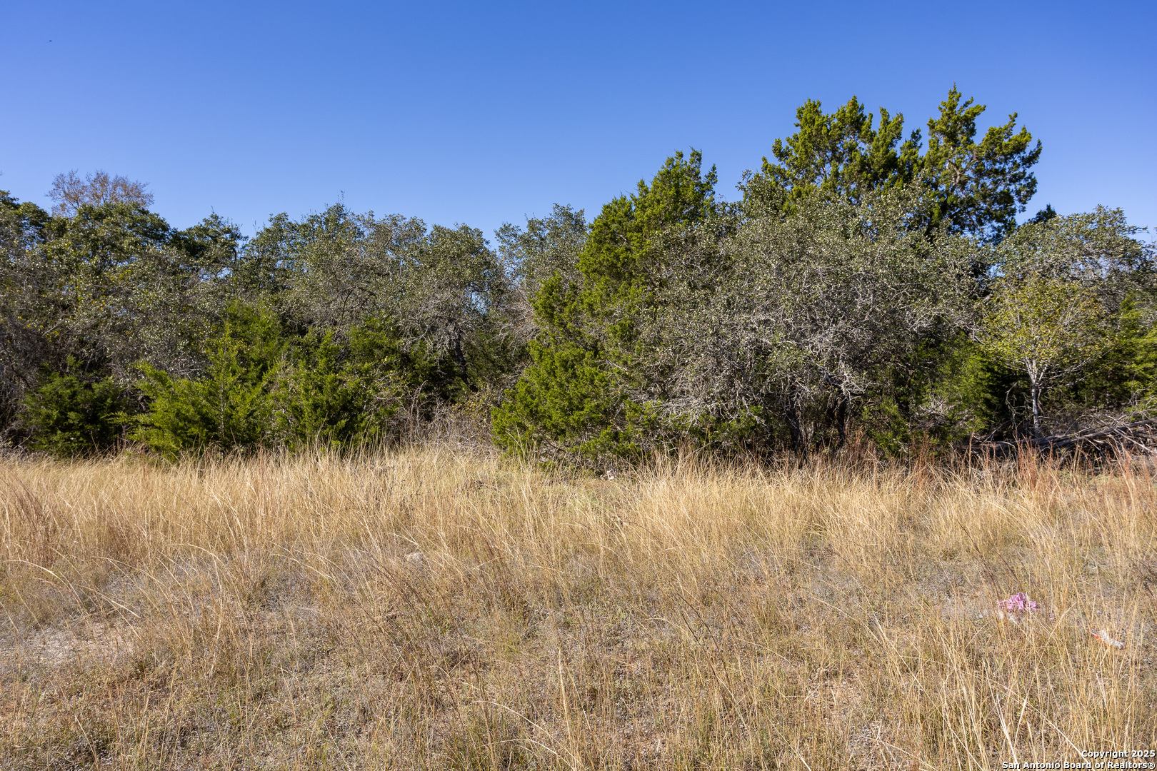 Block 3, Lot 1 Easy Money Boerne TX 78006