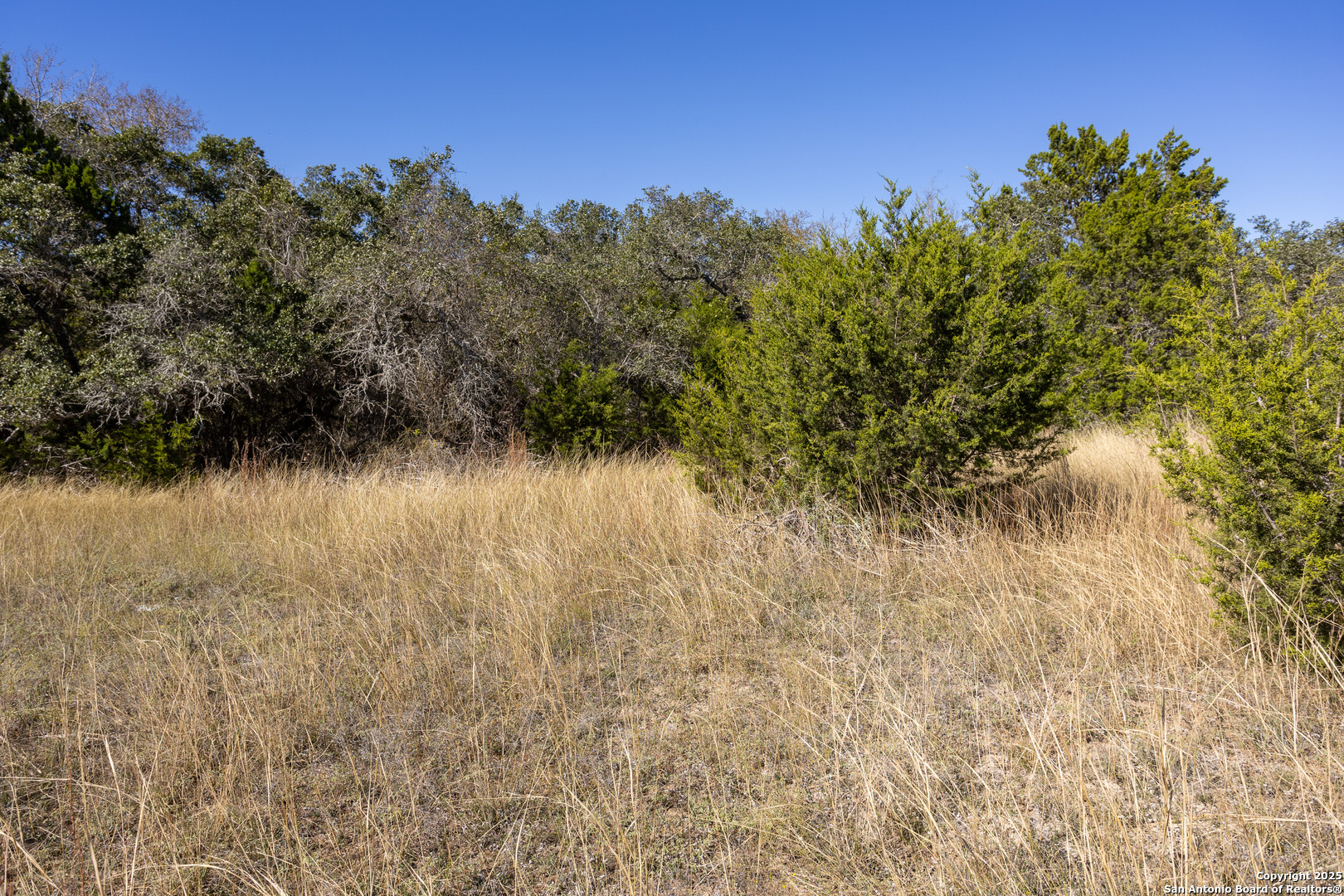 Block 3, Lot 1 Easy Money Boerne TX 78006