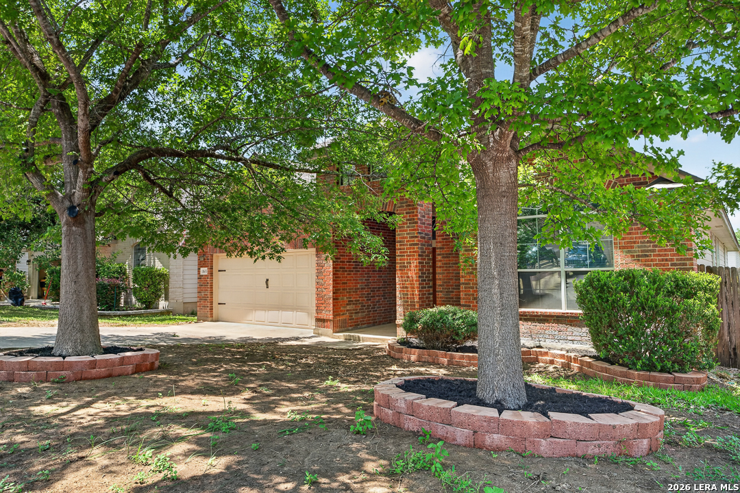 11631 Lemonmint Parkway San Antonio TX 78245