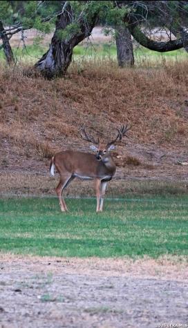 1958 County Road 237 Falls City TX 78113