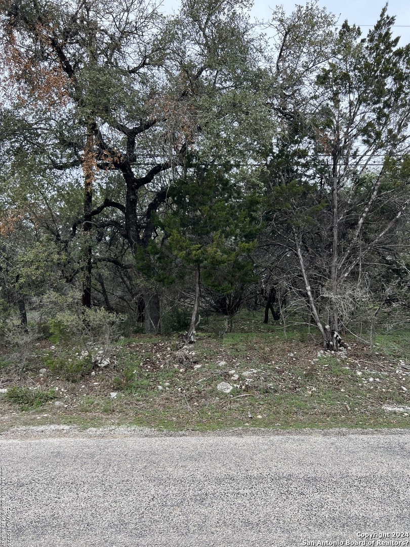 4255 Tanglewood Trail Spring Branch TX 78070