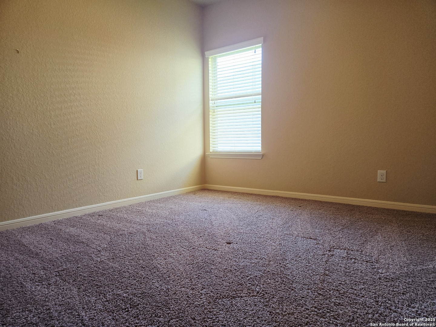 2738 Cinnamon Teal New Braunfels TX 78130