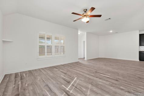 17232 Borromeo Avenue Pflugerville TX 78660