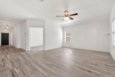 17232 Borromeo Avenue Pflugerville TX 78660