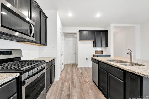 17232 Borromeo Avenue Pflugerville TX 78660