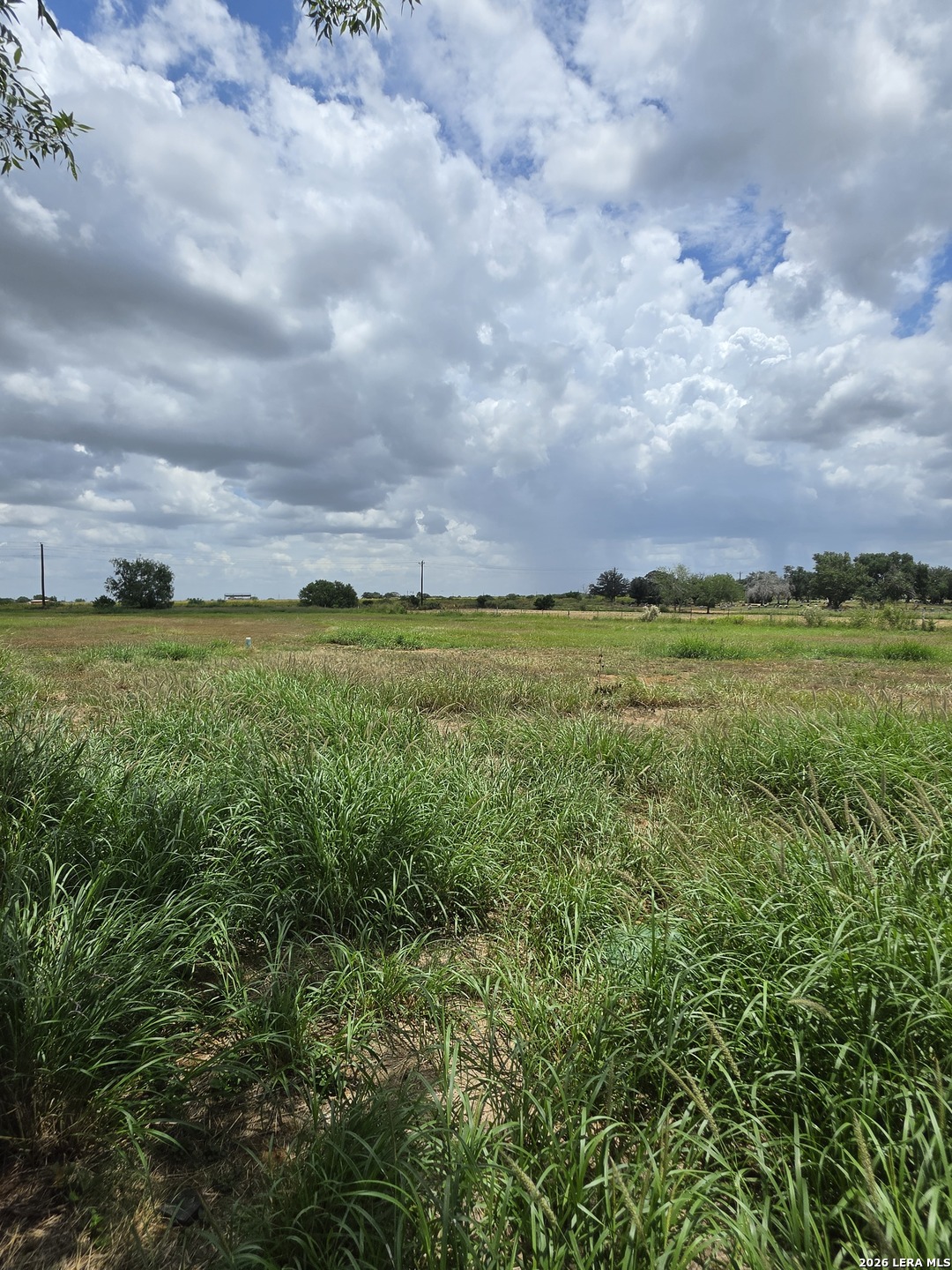 305 Waltom Avenue Jourdanton TX 78026