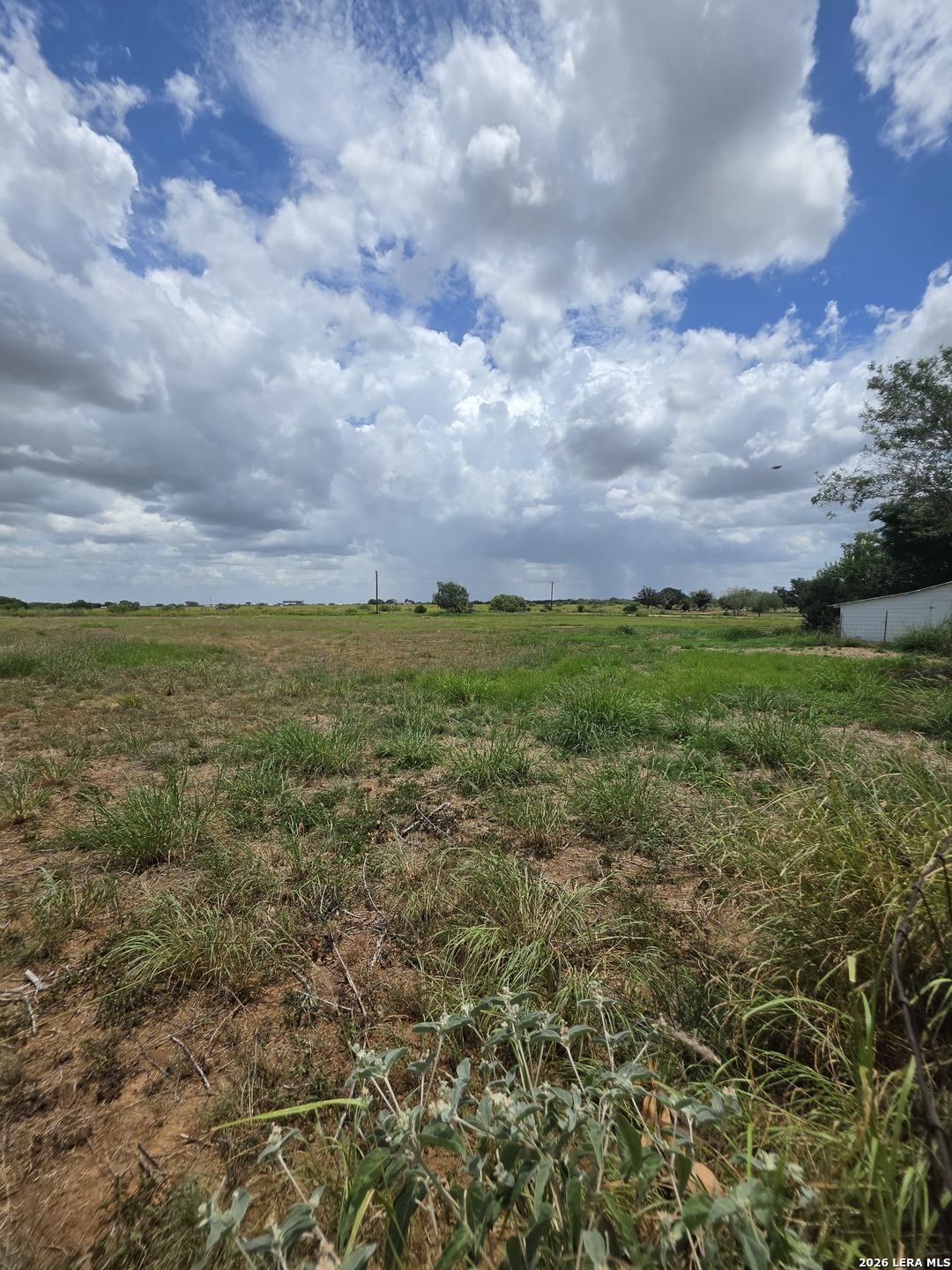 305 Waltom Avenue Jourdanton TX 78026
