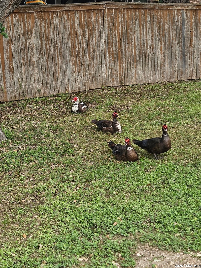 12411 Stillwater San Antonio TX 78254