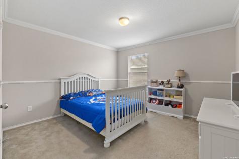 24222 Desert Ash San Antonio TX 78261
