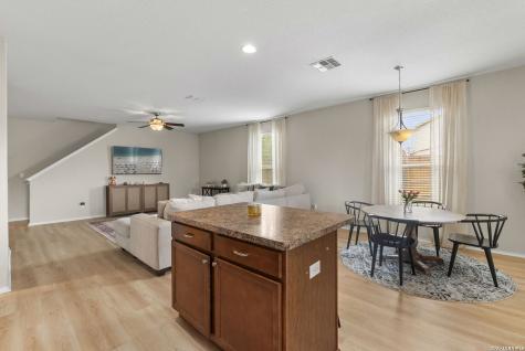24222 Desert Ash San Antonio TX 78261