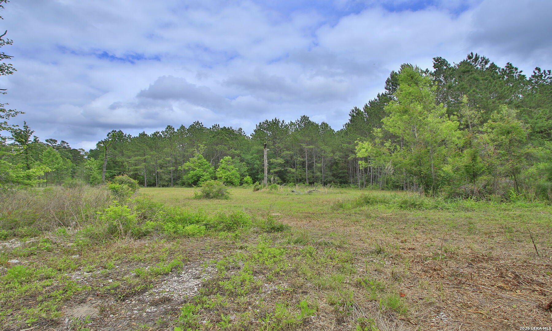 5914 Carter Waller TX 77484