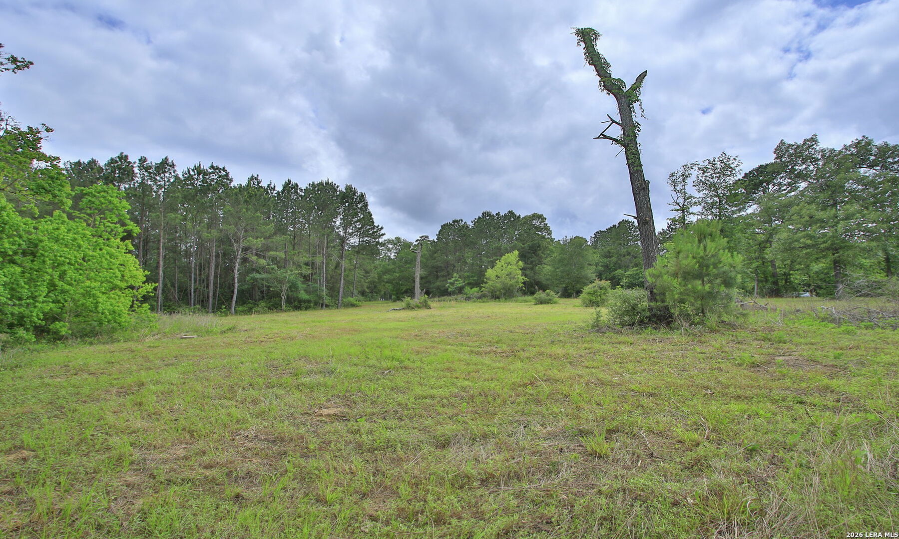 5914 Carter Waller TX 77484