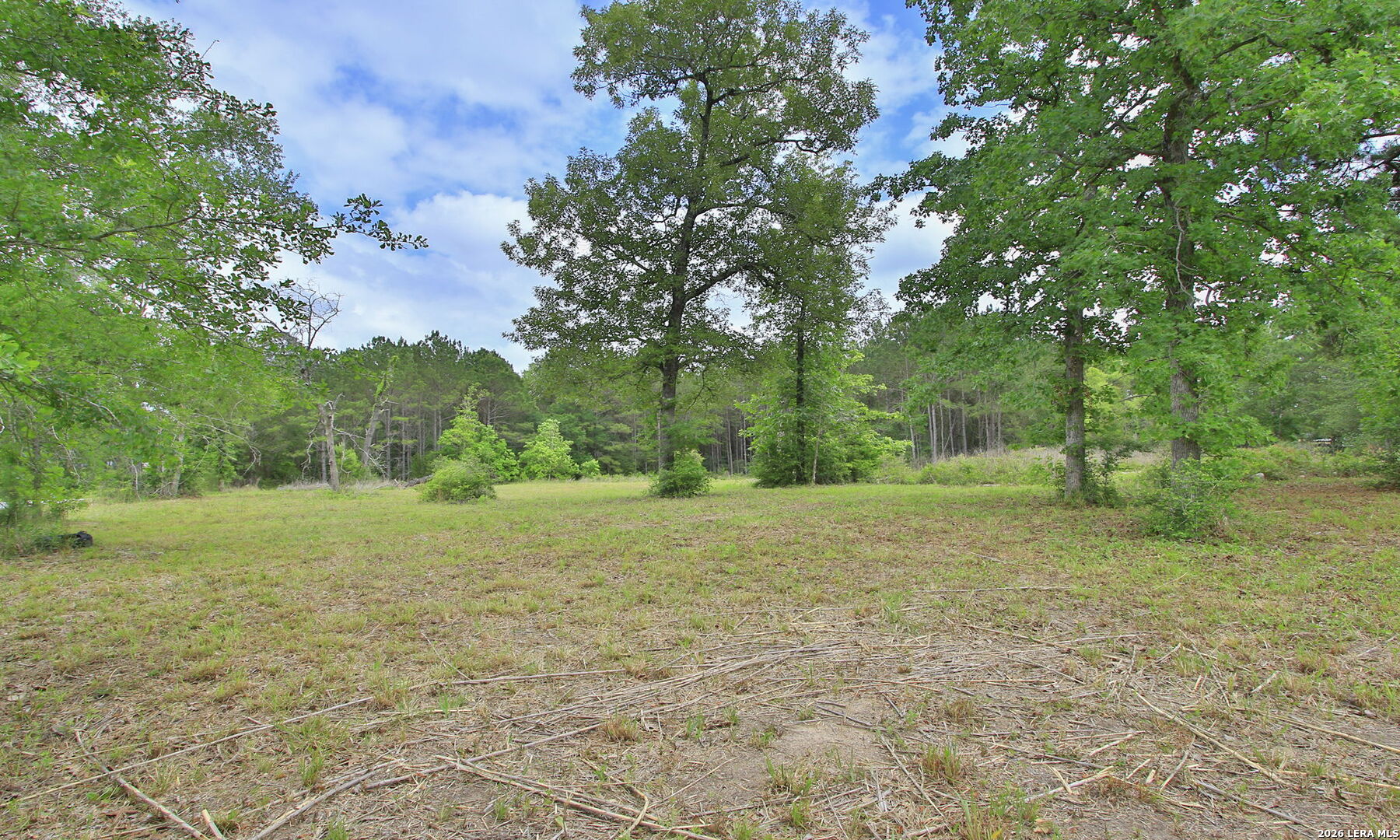 5914 Carter Waller TX 77484