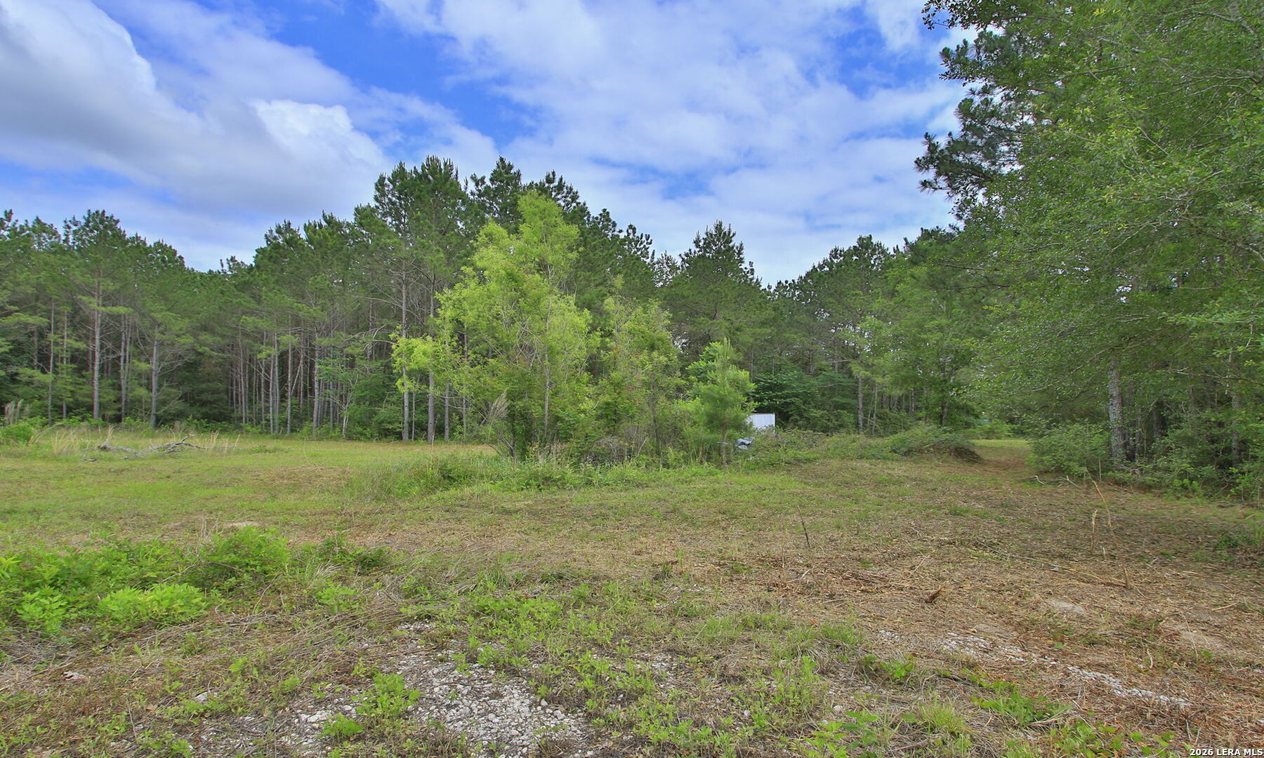 5914 Carter Waller TX 77484