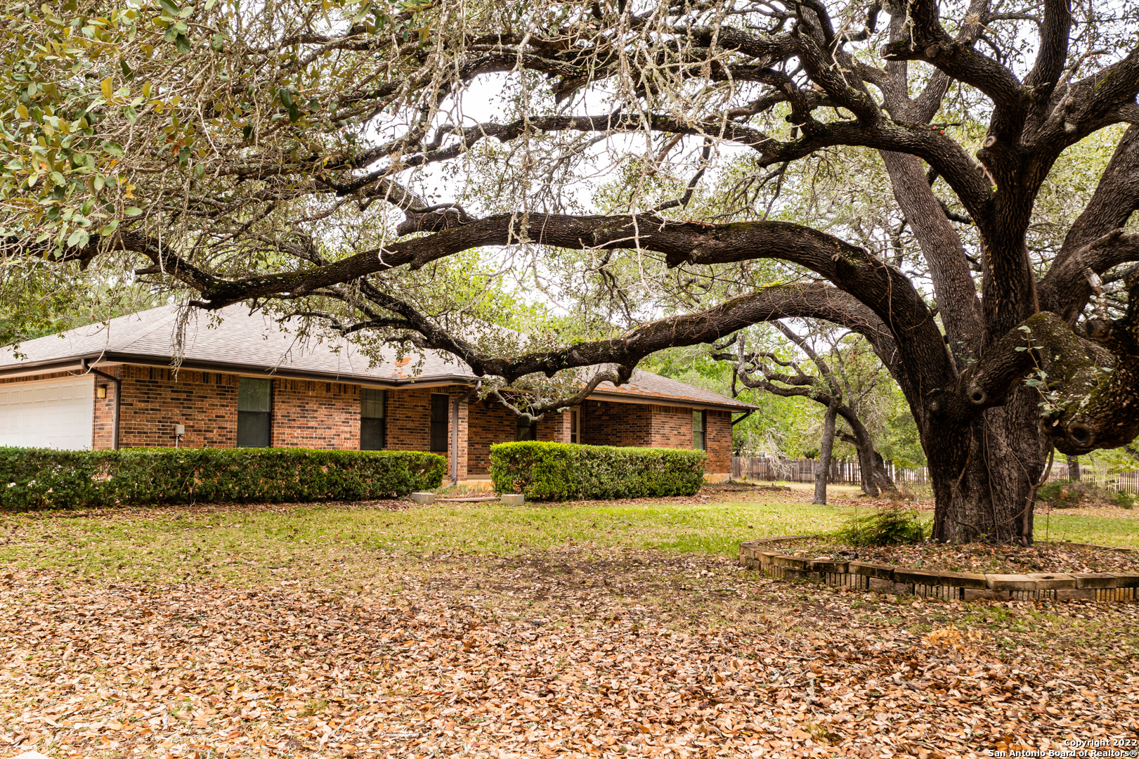 203 Cherry Ridge Floresville TX 78114
