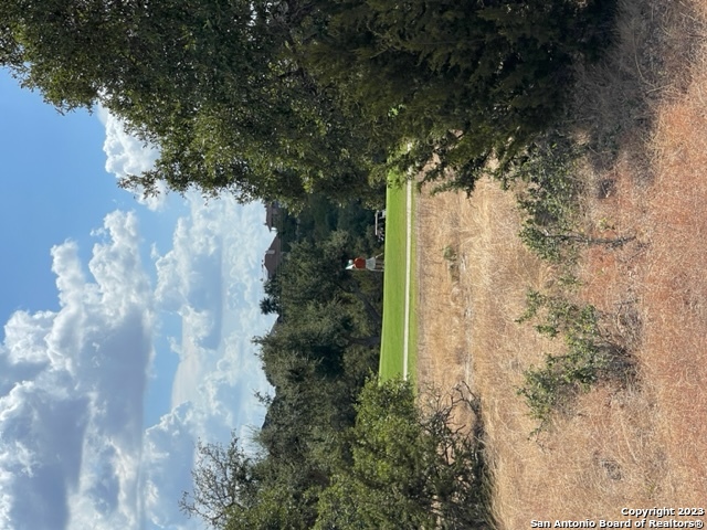 Lot 1231 N John Bird / Robert Sloan Blanco TX 78606