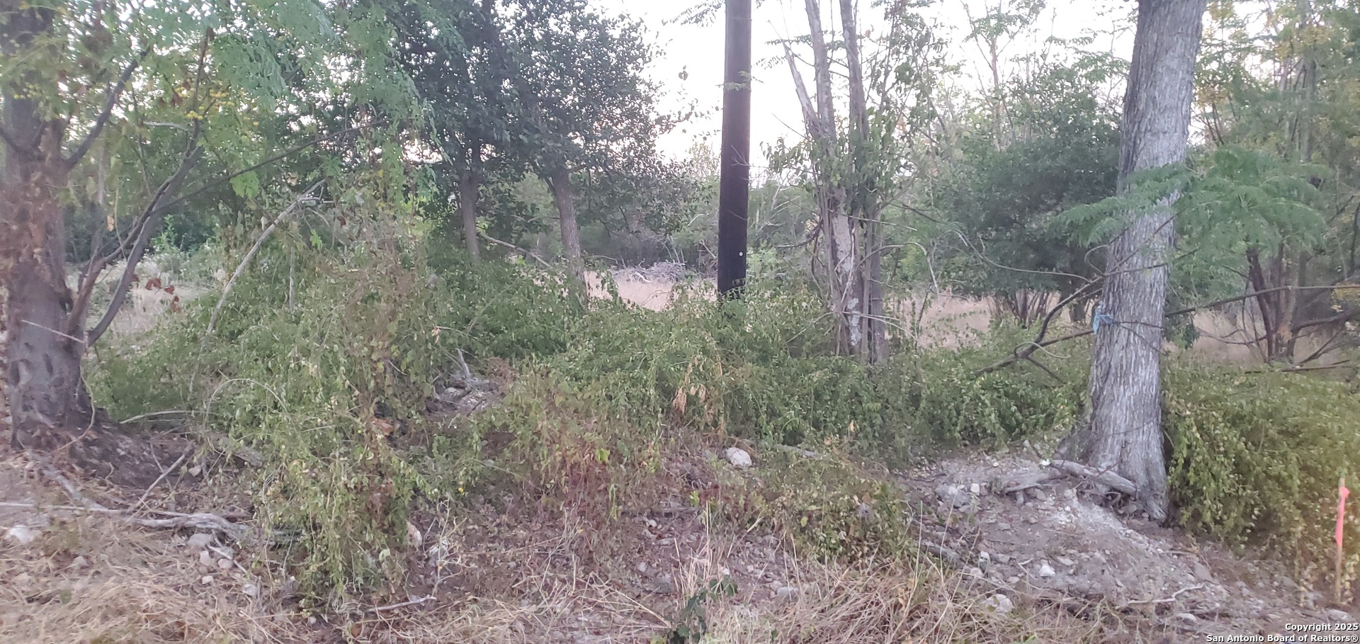 747 Dittlinger New Braunfels TX 78130