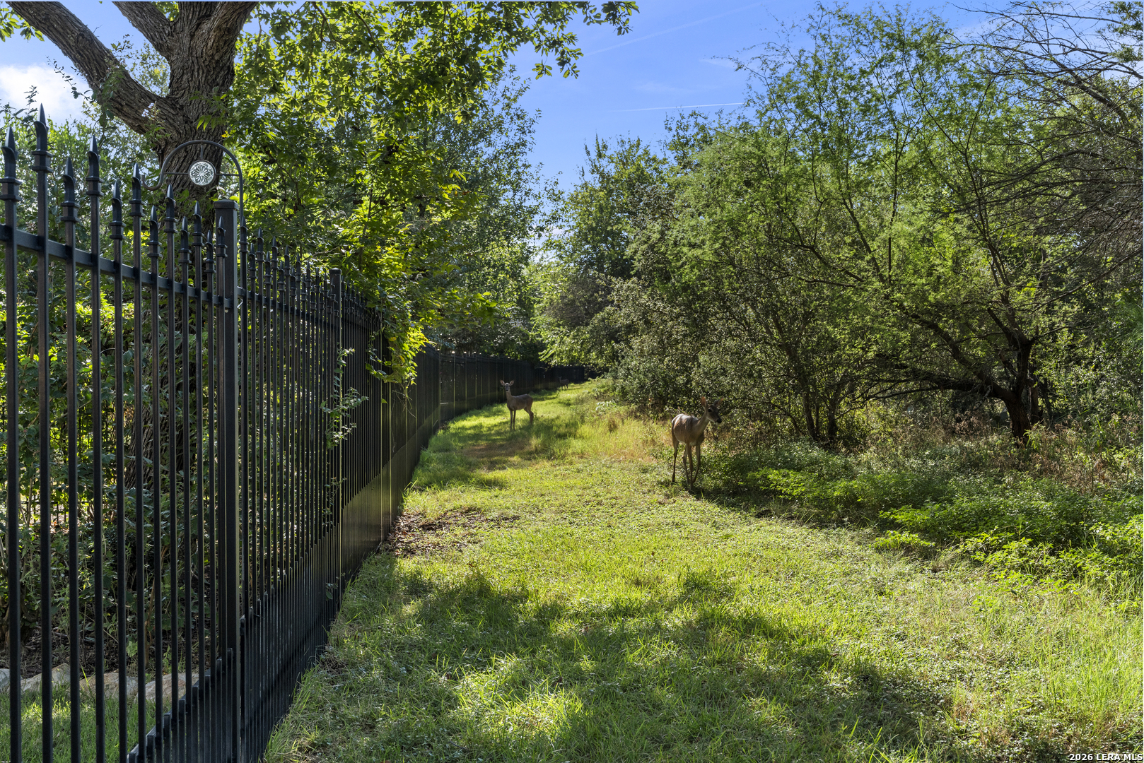 311 Roseheart San Antonio TX 78259