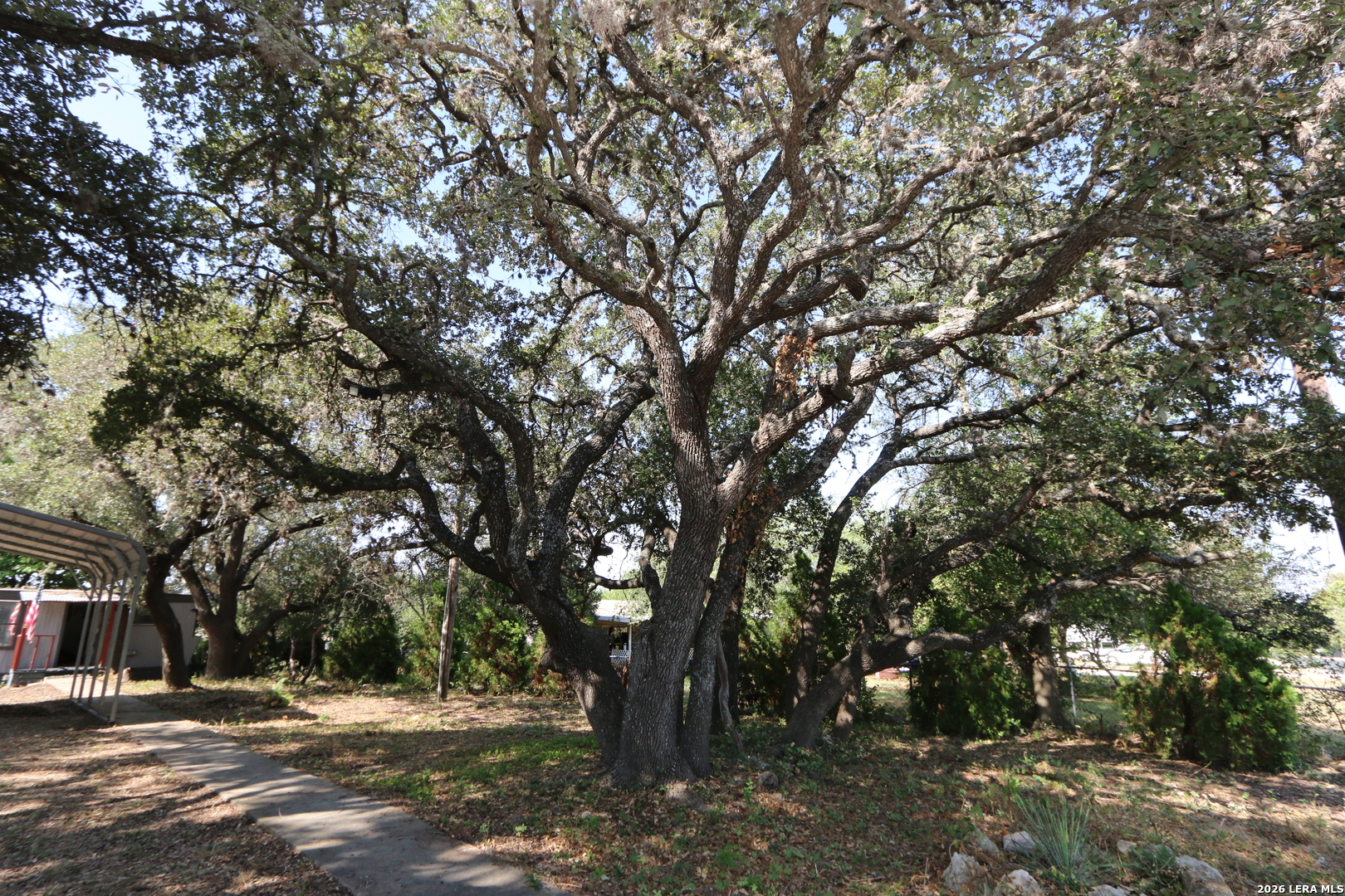 12142 Madrona Street San Antonio TX 78245