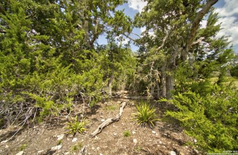 Lot 16 Paloma Ranch Road Mountain Home TX 78058