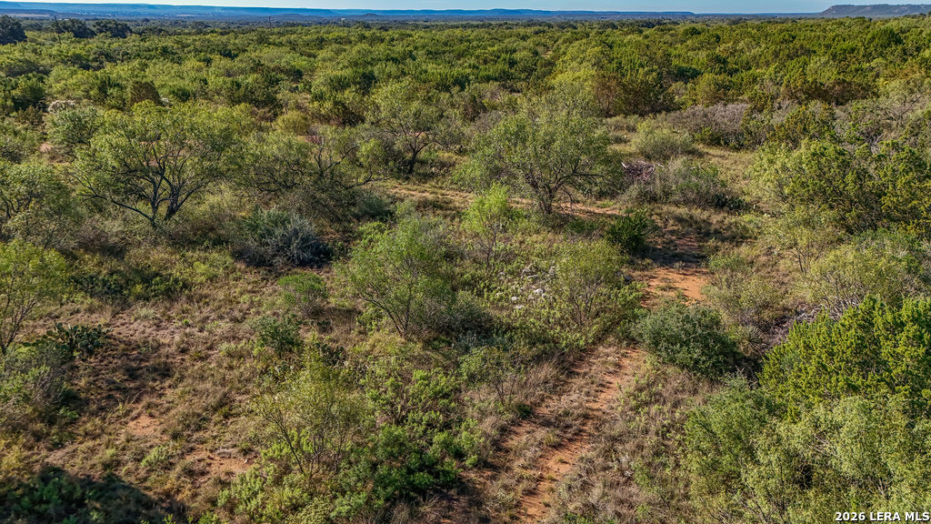 13139 Us Highway 377 Junction TX 76849