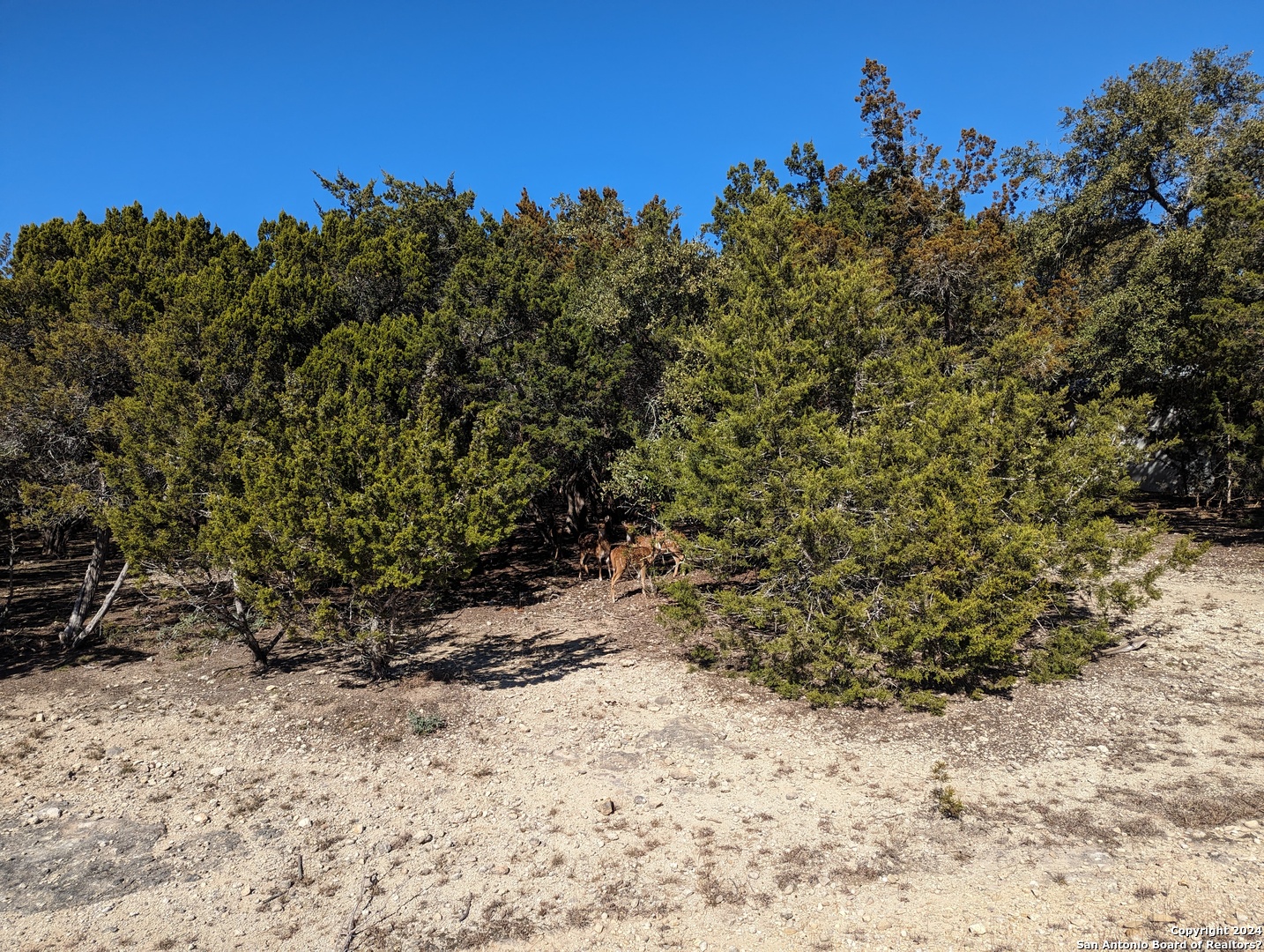 Lot 469 Topside Trail Bandera TX 78003