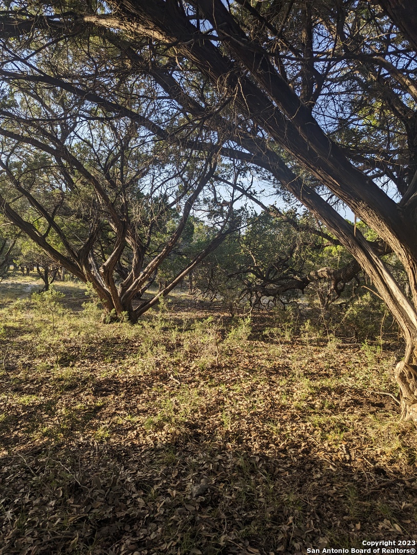 Lot 469 Topside Trail Bandera TX 78003