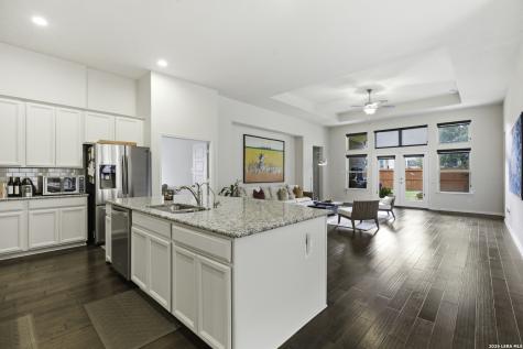 28709 Coral Bark San Antonio TX 78260