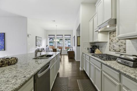28709 Coral Bark San Antonio TX 78260