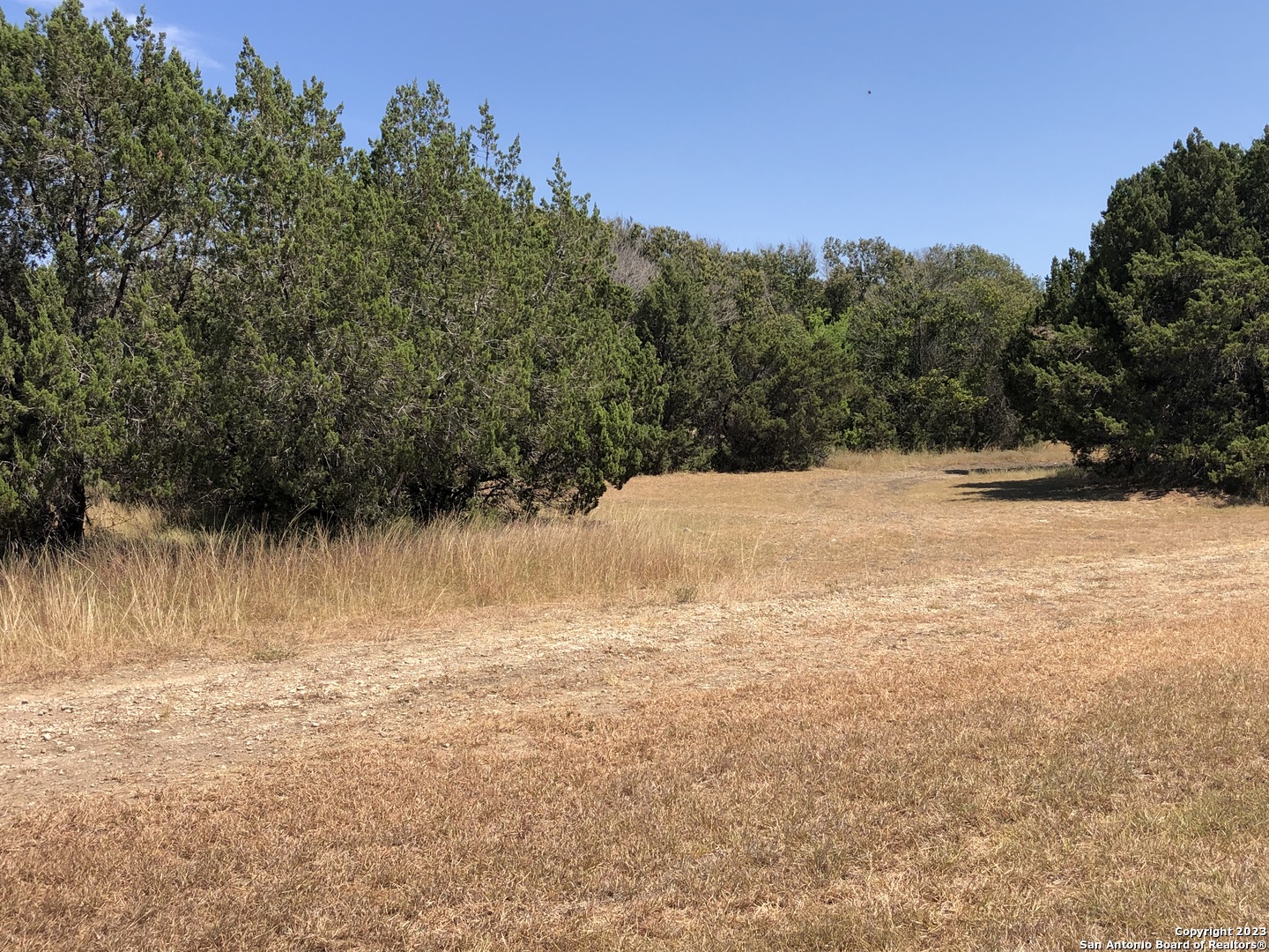 4200 Bell Lane Selma TX 78154