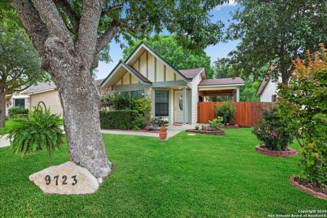 9723 Hidden Swan San Antonio TX 78250