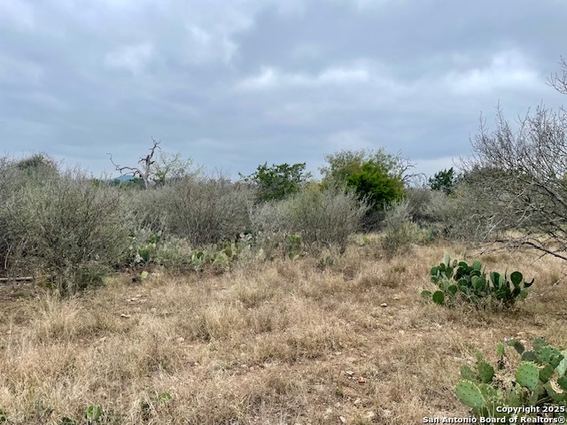 Lot 22 Brown Saddle Bandera TX 78003
