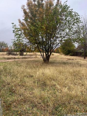 16547 County Road 282 San Antonio TX 78253