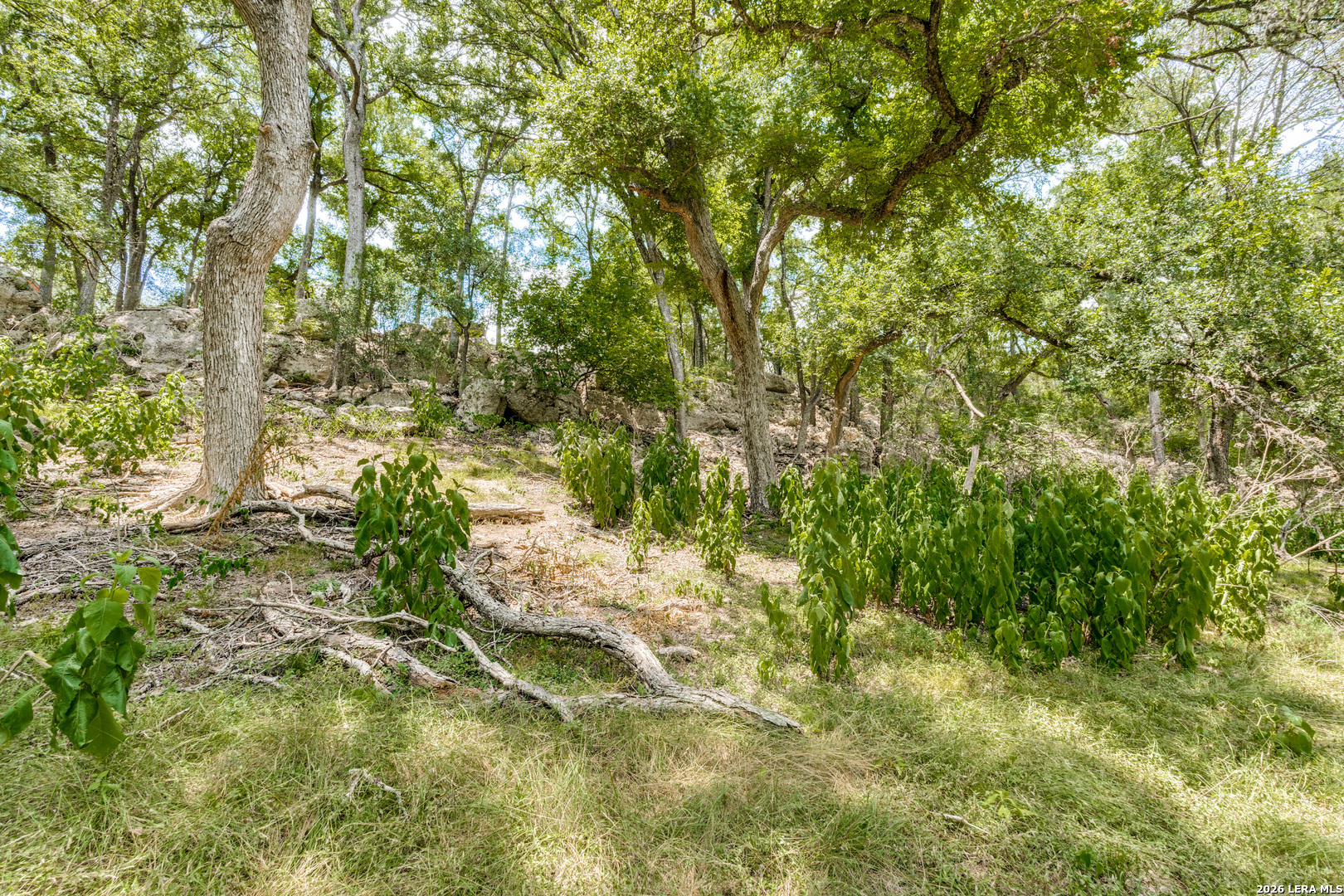 201 Hidden Lake Boerne TX 78006